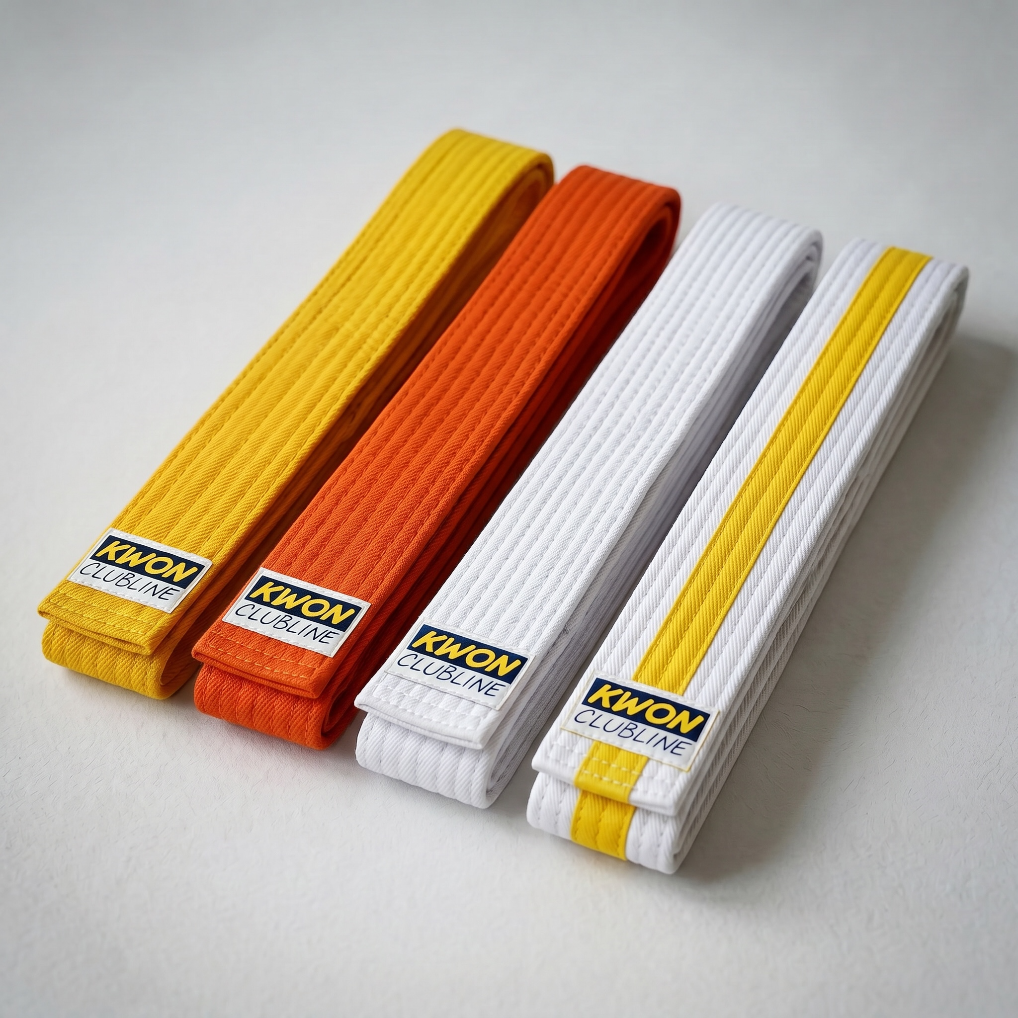 pasy-judo pasy-judo